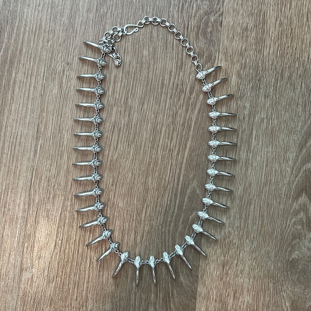 Super cute silver claw necklace